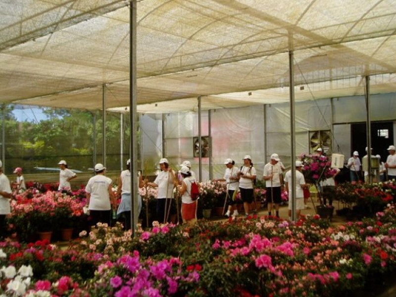Turismo Rural EM CAMPOS novos DE HOLAMBRA
